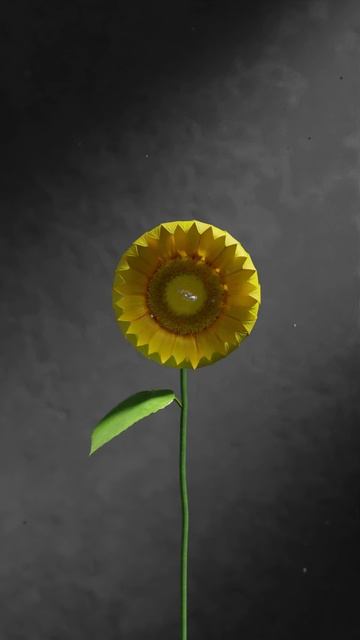 Sunflower Bloom Simulation #houdini #DailyRender #Blender #Shorts #Short смотреть онлайн