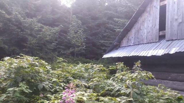Дводенний похід з Осмолоди в Горгани(через полонину Плісце, гору Паренки,малу Попадю,Попадю) смотреть онлайн