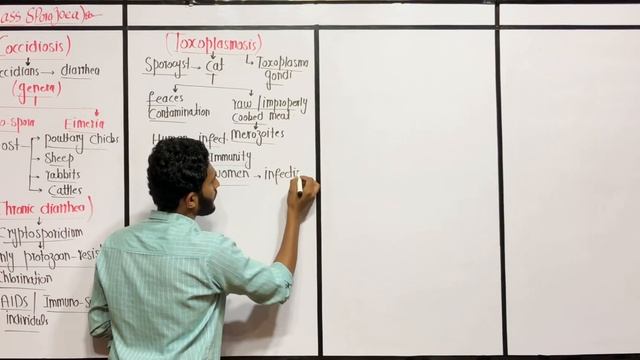 Lecture 9 Miller Harley Class SporozoeaAnd Phylum Microspora смотреть онлайн