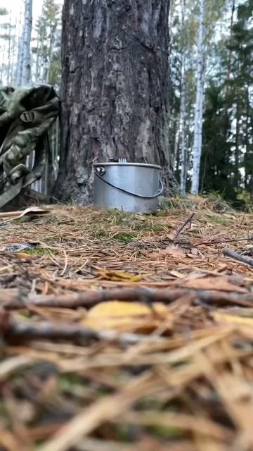 Болоньезе по-лесному | Bolognese 🍝 #shorts