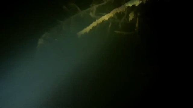 Дикий прозрак! смотреть онлайн