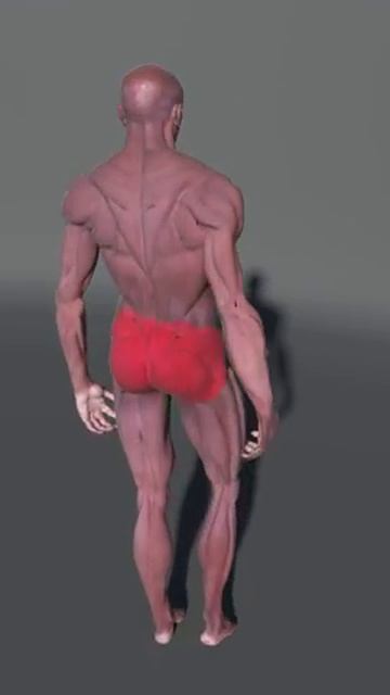 Human figure blender смотреть онлайн