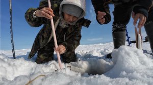 краб 2025, ВКУСНО ням-ням..