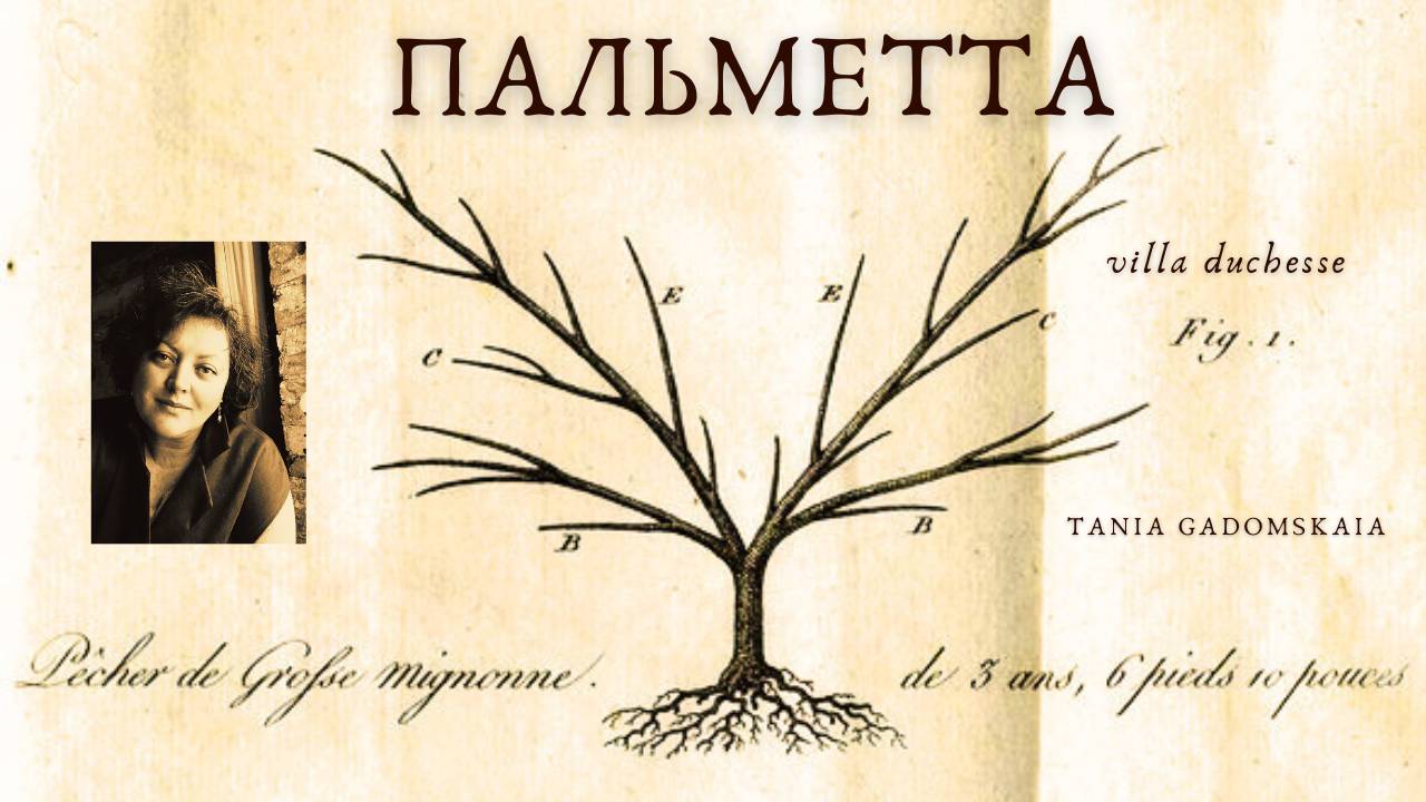 Mur à pêches. Шпалеры. Декоративное садоводство