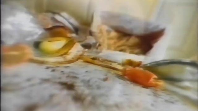 Polaroid OneStep Camera Commercial 1996