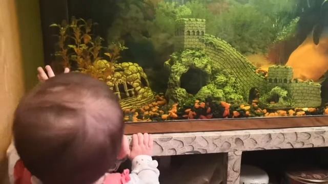 Первые рыбы смотреть онлайн