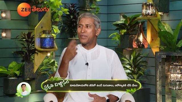 Vitamin B12 Rich Powder | Controls Hair Fall | Nerves Weakness | Mango Seed |Dr.Manthena Health Tip