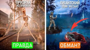 8 МИФОВ из S.T.A.L.K.E.R. 2 КОТОРЫЕ ВАС УДИВЯТ - РАЗОБЛАЧЕНИЕ