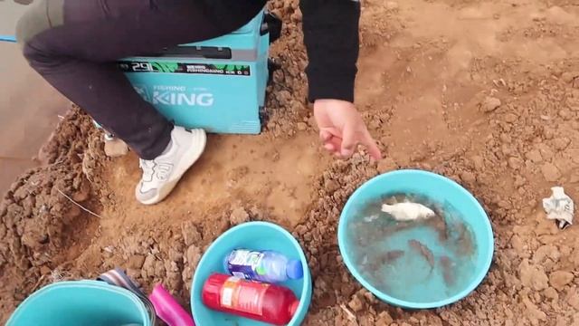 野钓：第一眼就感觉这地方藏大鲫鱼，懂得应变你就比别人钓的多！ смотреть онлайн