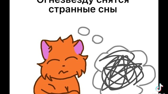Что по настоящему делают коты воители 2 часа ночи смотреть онлайн
