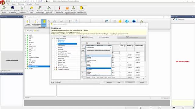 SOLIDWORKS Electrical - Importowanie odniesień kabli za pomocą pliku Excel смотреть онлайн