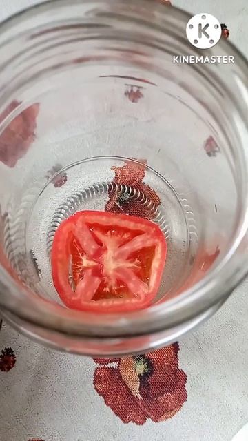 Они такие вкусные эти баклажаны!