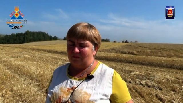 На полях Каратузского района идет уборочная кампания смотреть онлайн