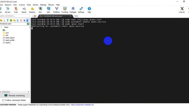 9.Configure OpenSWAN and bring up the tunnel | AWS Bengali | 2021 смотреть онлайн