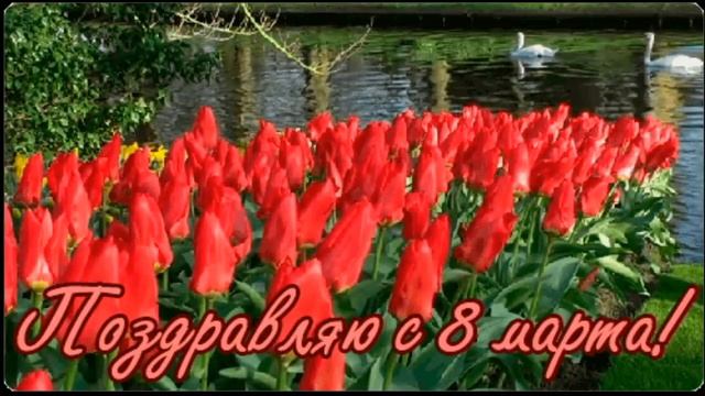 Поздравляю с Международным женским Днем- 8 Марта смотреть онлайн