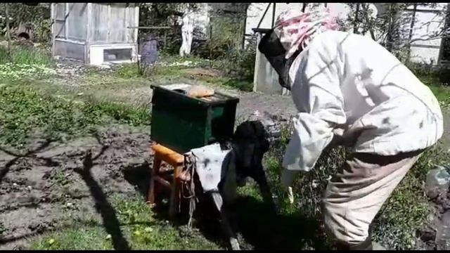 10 мая, рой которого никто не ждал смотреть онлайн