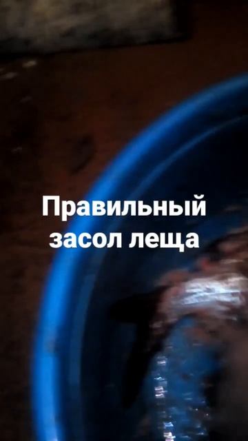 грамотная засолка рыбы для копчения