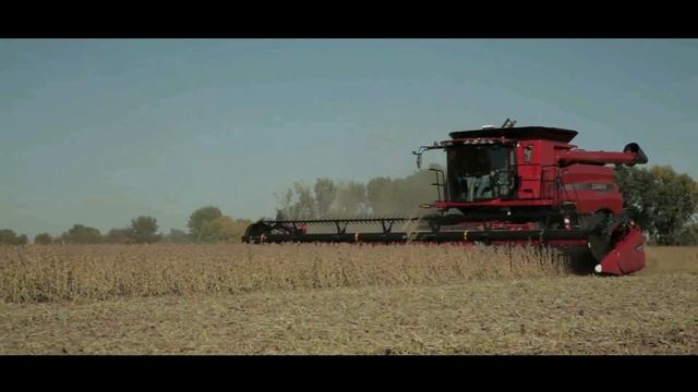 Соя. Возможности и риски. PUBLIС RESEARCH. СМАРТ КВИН 2016. смотреть онлайн