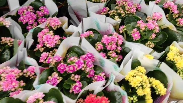 ДЕРЕВЕНСКИЙ ДНЕВНИК. "Старые песни о главном" смотреть онлайн