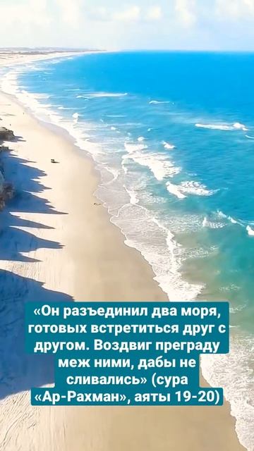 Море🌊 #islam #shorts смотреть онлайн