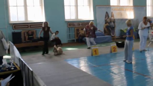 14.09.14.Смоленск.сравнение смотреть онлайн