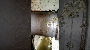 Робота МП -100