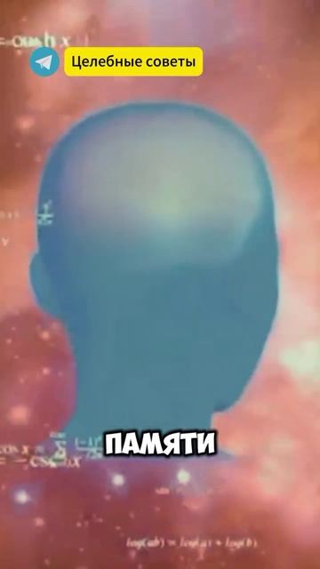 Улучши Зрение смотреть онлайн