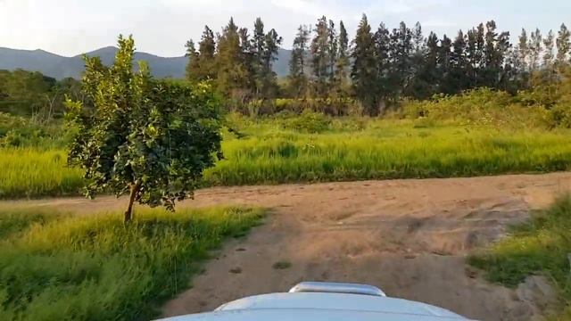 Amazing Scenic Rough Drive Through a Citrus and Banana Farm on the back of a Bakkie смотреть онлайн