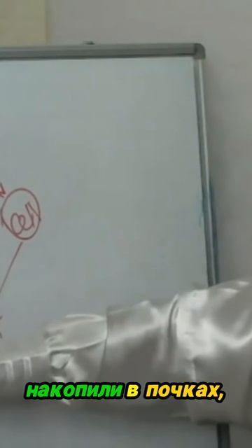 Перераспределение энергии в организме смотреть онлайн