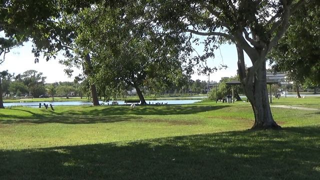 Жизнь на юге Англии. Наконец нашла