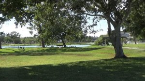 Жизнь на юге Англии. Наконец нашла