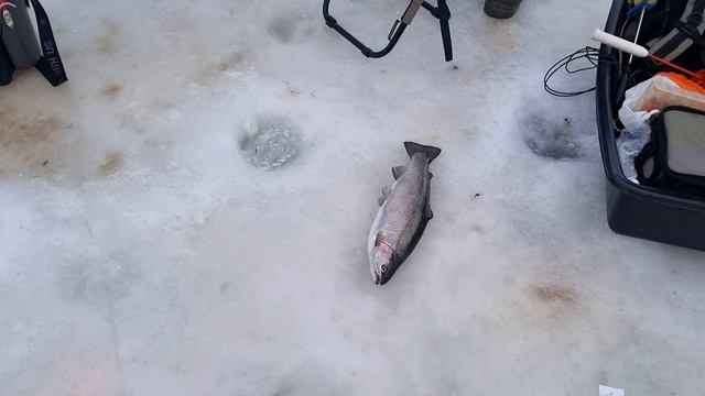 05-03-2025 смотреть онлайн