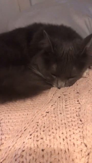 Mittens смотреть онлайн