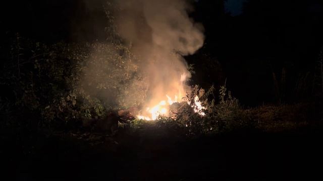Жгу Костер ночью Звуки ночного костра в деревне