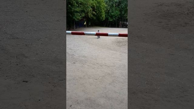 Отнял у ребёнка велик смотреть онлайн