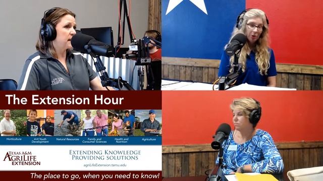 Master Gardeners talk JMG and Fall Planting on 8.16.19 - The Extension Hour - LIVE смотреть онлайн