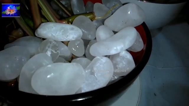 How to water propagate indoor plants (very easy tips) смотреть онлайн