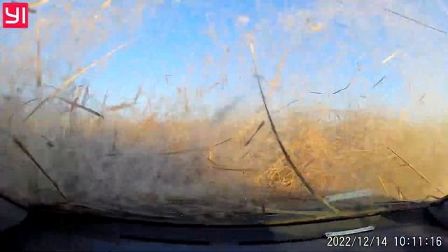 Озеро-рогоз смотреть онлайн