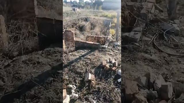 Купил бензопилу для уборки акации. думал это все будете дольше. (много мата🙉) смотреть онлайн