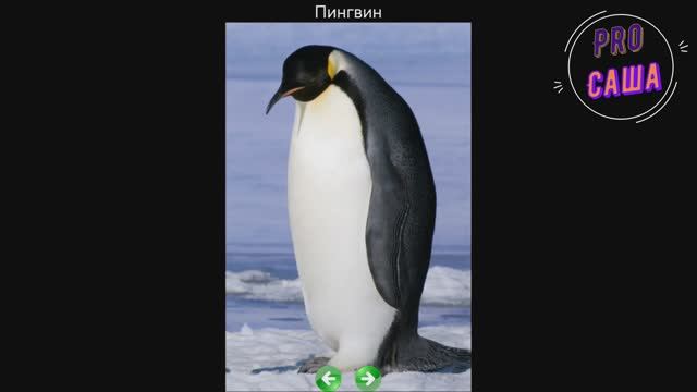 Развитие. Игры. ПТИЦЫ. Развивающие карточки. Мультики. Обучающие игры. Увлекательное обучение. смотреть онлайн