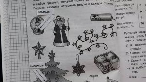 ВПР Окружающий мир 4 класс, 2025 год, вариант 4 из 25