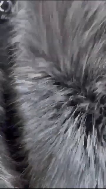 Кожаная косуха с натуральным мехом Чернобурки.