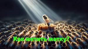 Профессор Кашковский: Чем метят маток?