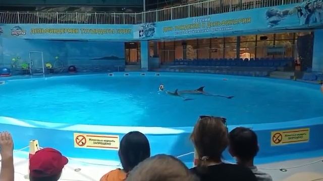 Дельфинарий Алматы #Алмата#Казахстан смотреть онлайн