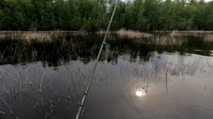 Открытие по щуке на Ладоге 2024г.