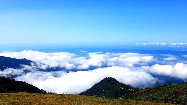 გომის მთა , გურია | Gomi mountain - GURIA | Higher than Clouds смотреть онлайн
