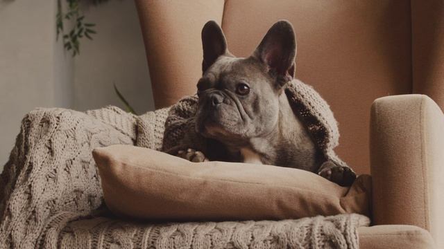 1111043_Quiet_Tranquil_1280x720