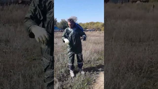 Как избавиться от шершней смотреть онлайн