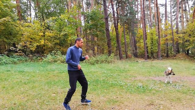 басик на прогулке смотреть онлайн