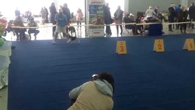 trim B1915943 C346 440C A9BB C34587106564 смотреть онлайн